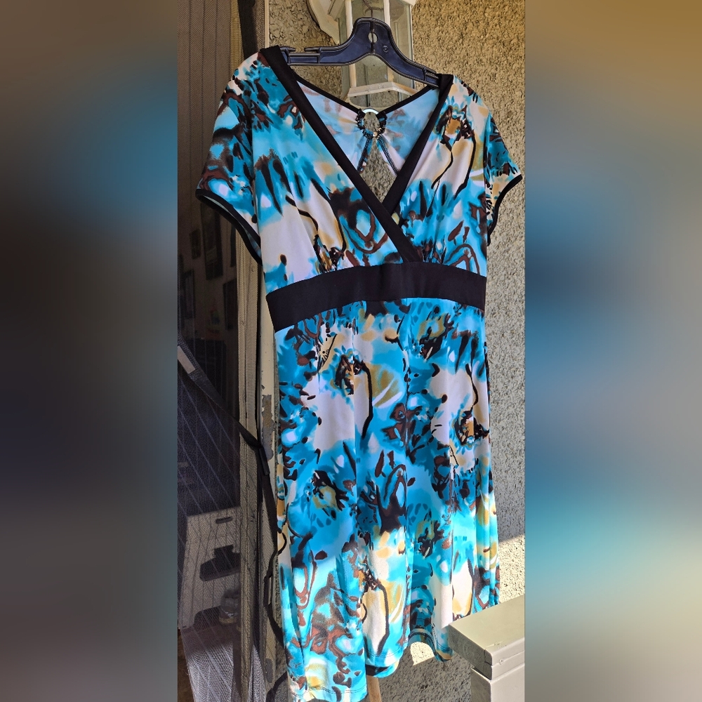 Rickis Dress size Large